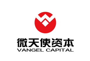 青島微天使商務信息咨詢管理企業(yè) 專業(yè)賦能商務決策